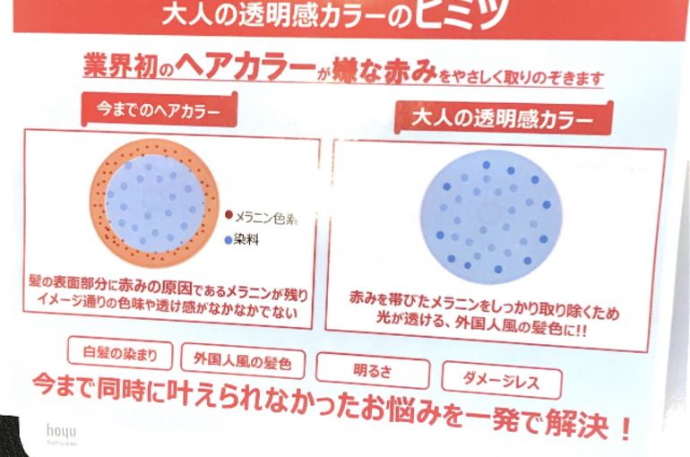チラシ